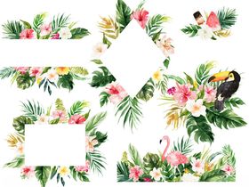 热带花卉鸟类装饰图案