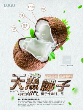 椰子图片