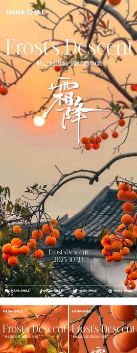 霜降节气柿子橙色简约海报