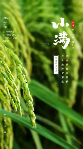 小满海报广告初夏24节气
