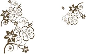 对角花卉