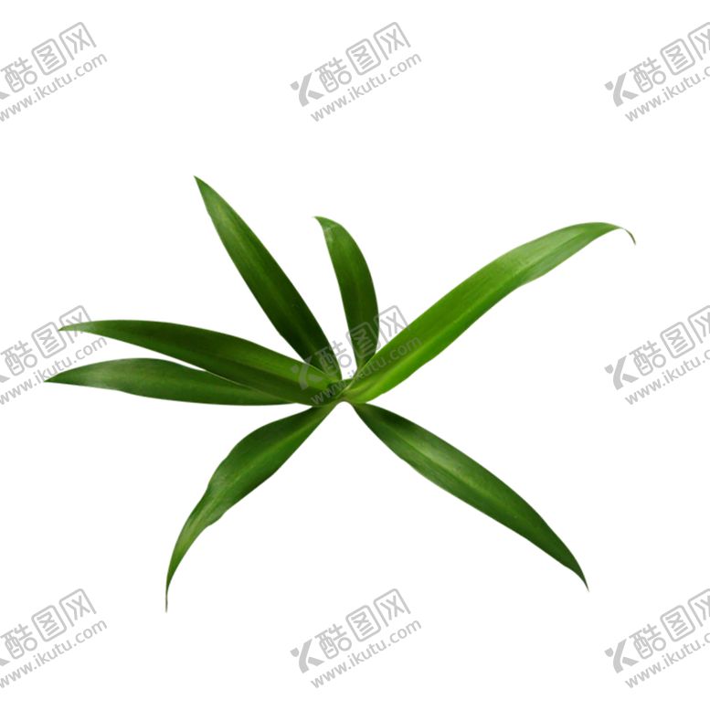 编号：29646509151340497786【酷图网】源文件下载-绿色装饰