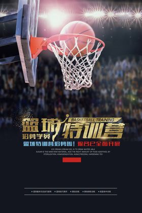 篮球特训营 
