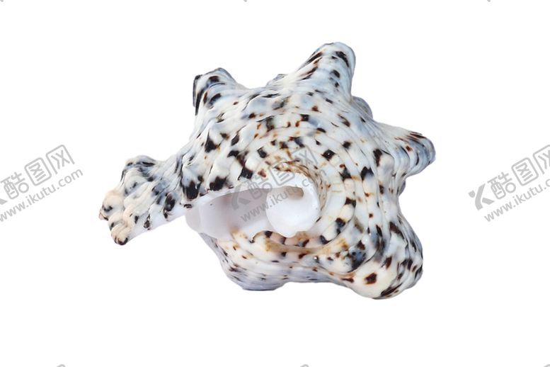 编号：81377110281358076907【酷图网】源文件下载-海螺