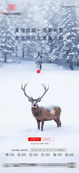 地产大雪海报