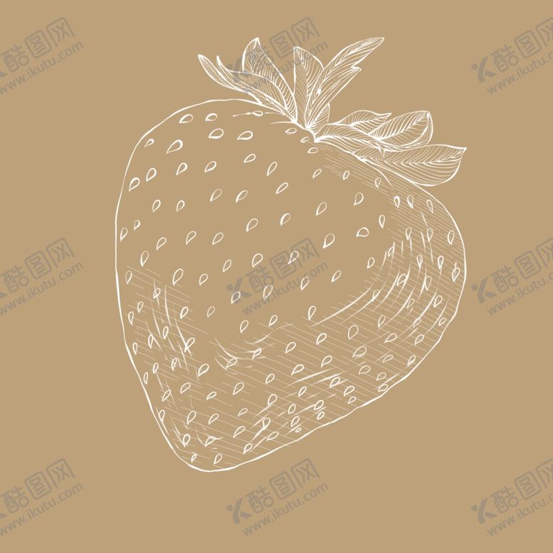 编号：97174902220507285963【酷图网】源文件下载-水果草莓线稿免抠素材
