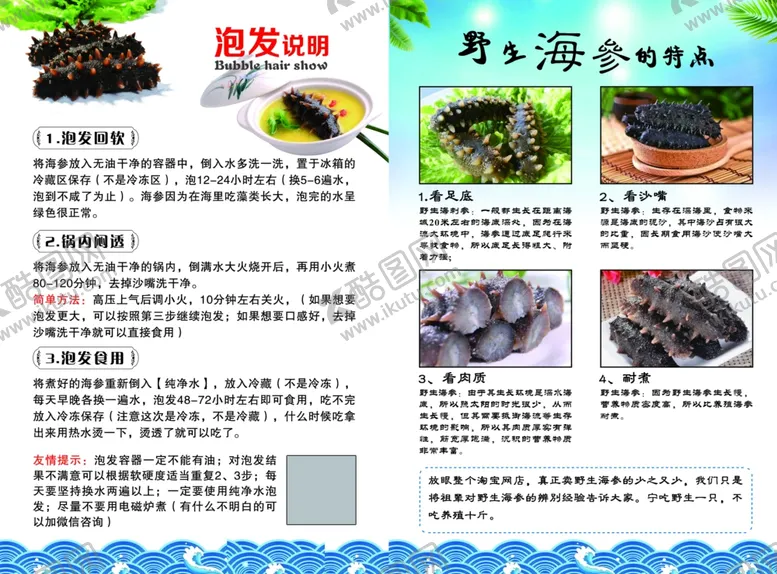 编号：17414810302113537974【酷图网】源文件下载-野生海参