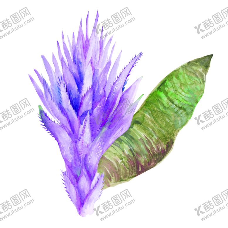 编号：49913510062252217702【酷图网】源文件下载-夏日热带水彩花朵