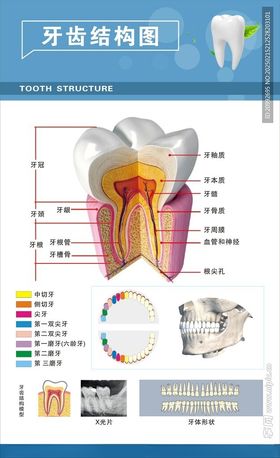 牙科海报宣传诊所治疗