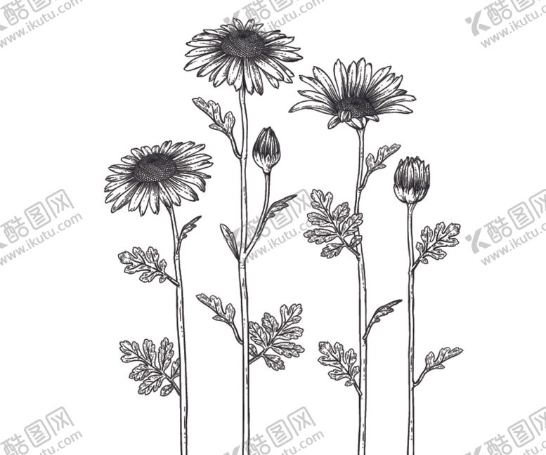 编号：74792310310709541254【酷图网】源文件下载-花卉花蕊