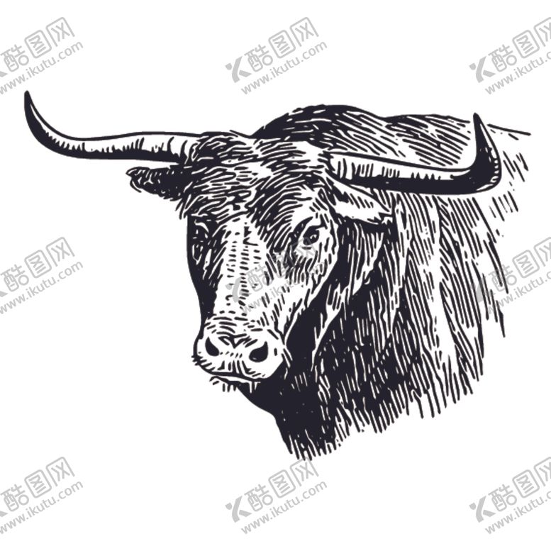 编号：60475007132106575084【酷图网】源文件下载-牦牛插画