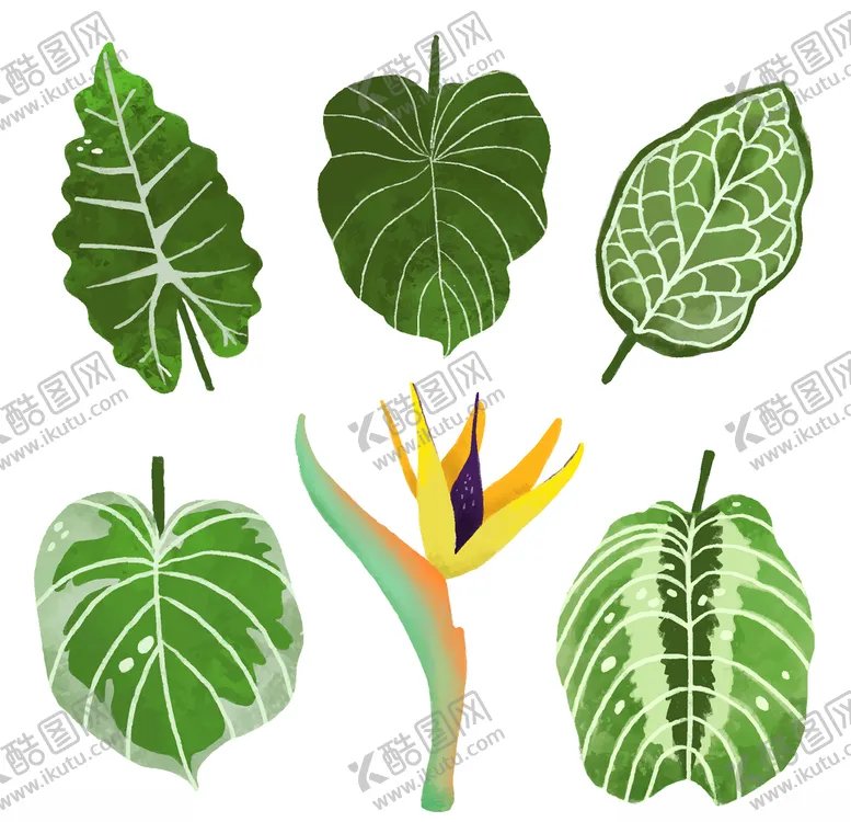 编号：49395806250049535423【酷图网】源文件下载-线条矢量手绘花草植物