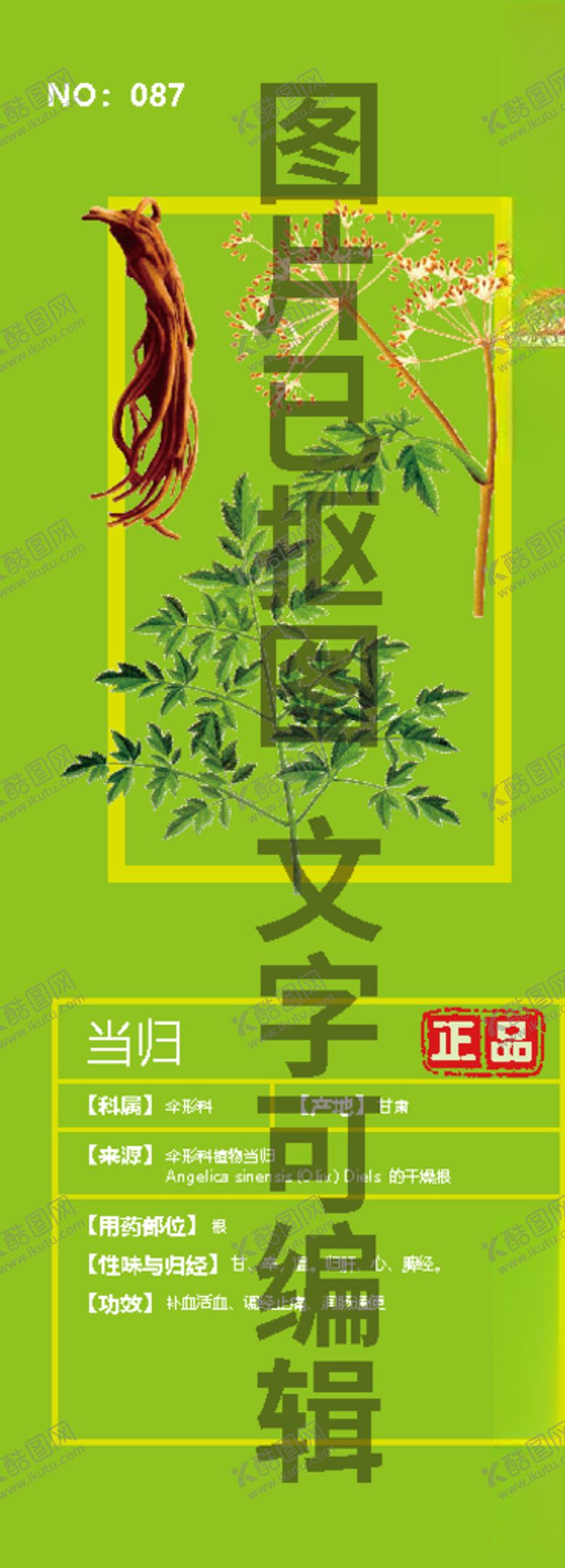 编号：24345105090539309301【酷图网】源文件下载-当归
