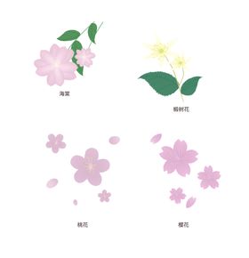 手绘花卉