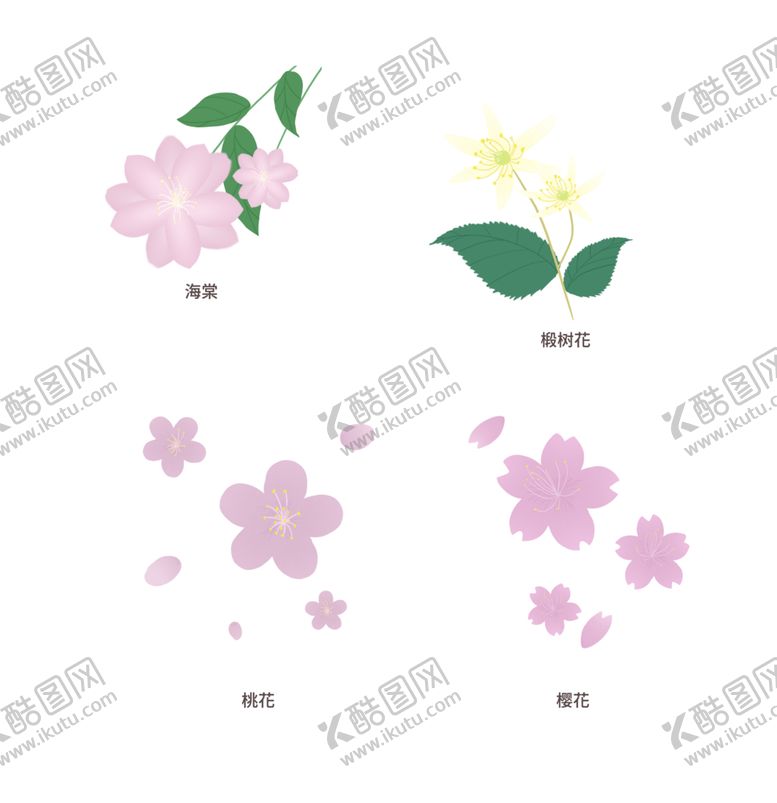 编号：49690210290803433487【酷图网】源文件下载-手绘花卉