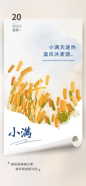 二十四节气小满海报纸插画夏天麦子