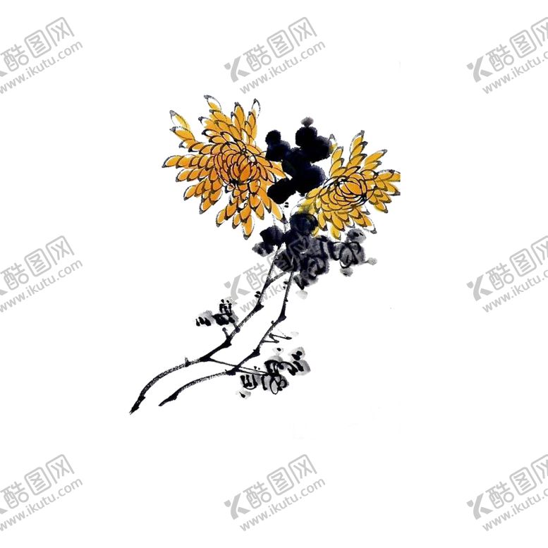 编号：40426406250618031676【酷图网】源文件下载-国画菊花