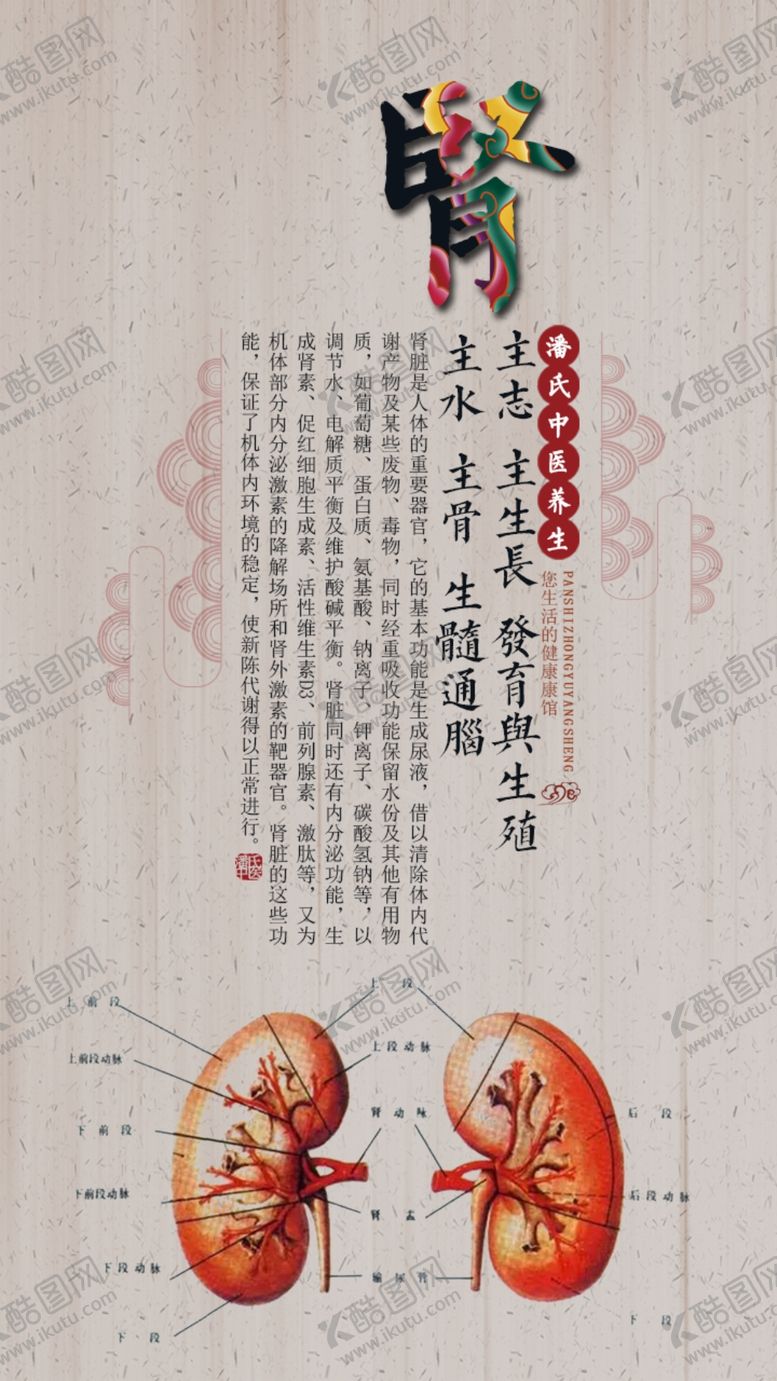 编号：75799105161121357366【酷图网】源文件下载-养生健康海报