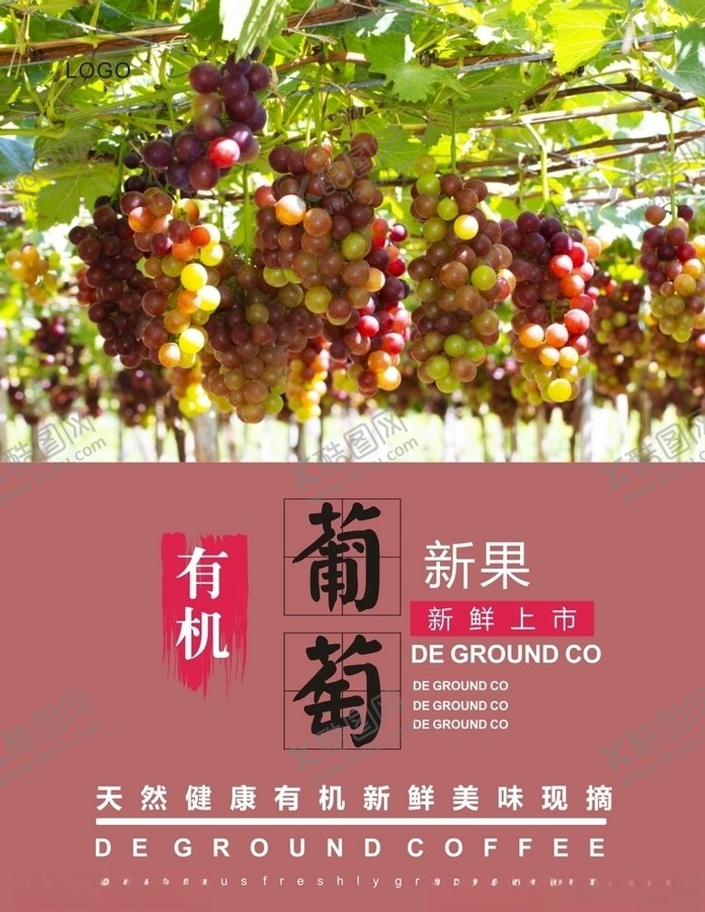编号：69637309302238585488【酷图网】源文件下载-葡萄海报