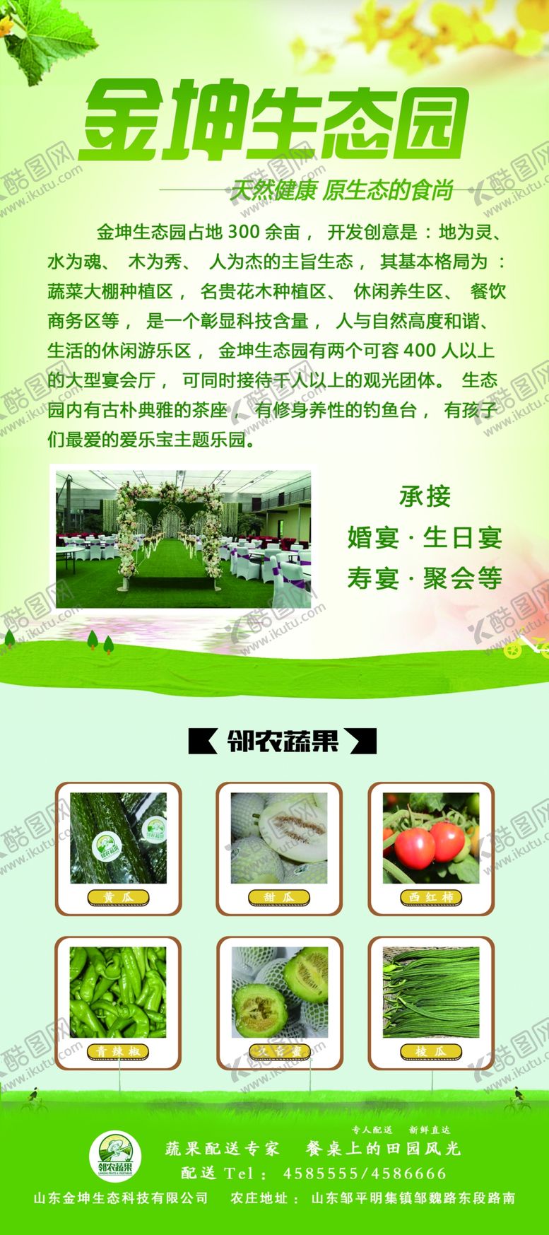 编号：44584906260339242282【酷图网】源文件下载-展架绿色
