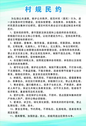 村规民约