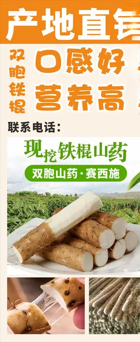 上药牌麝香保心丸