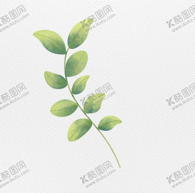 编号：34203701131854173723【酷图网】源文件下载-尤加利植物渐变水彩手绘
