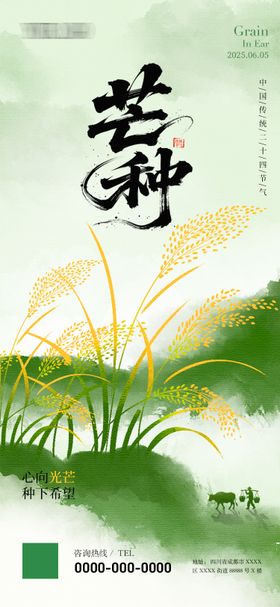 芒种节气海报