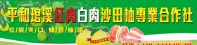 柚子招牌