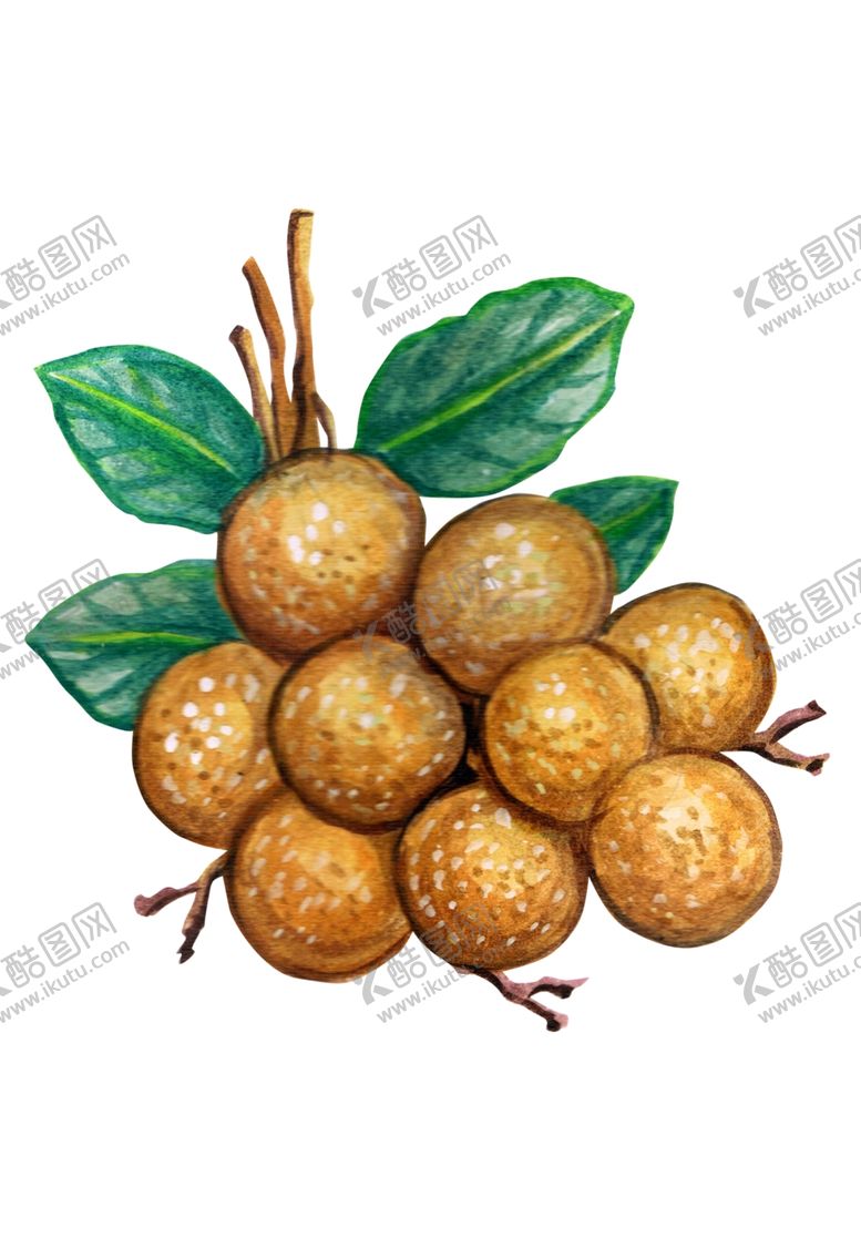 编号：71040610040449439722【酷图网】源文件下载-水果