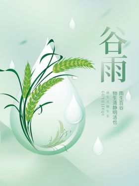 谷雨麦子