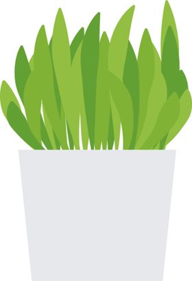 盆景盆栽