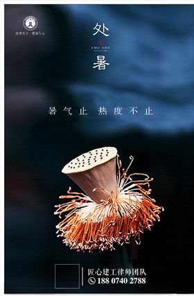 处暑二十四节气海报