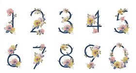 植物数字