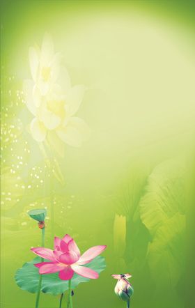 莲叶荷花