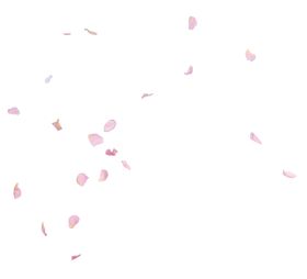 花瓣朵樱免扣粉色