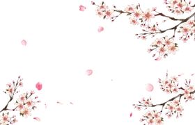 创意花朵植物图案