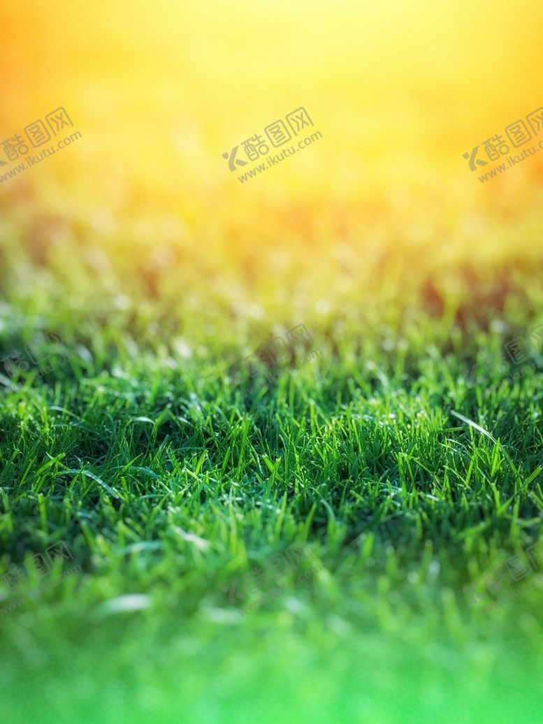 编号：98085406252006524457【酷图网】源文件下载-草地清晨阳光