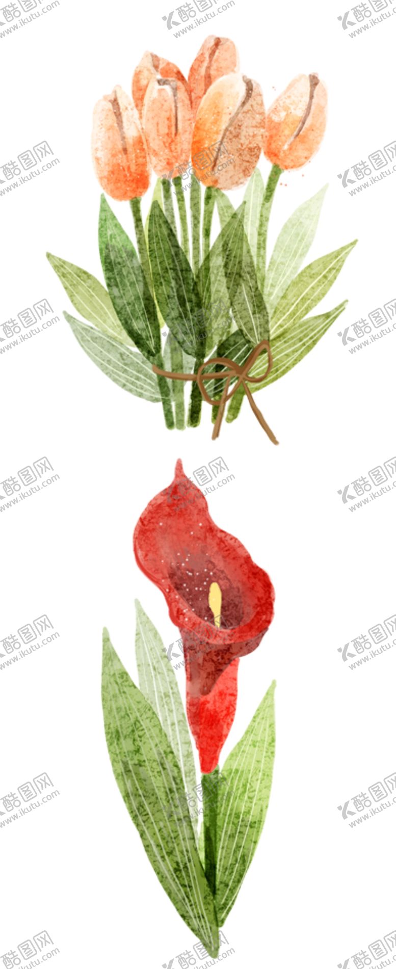 编号：47398804192303251778【酷图网】源文件下载-手绘鲜花