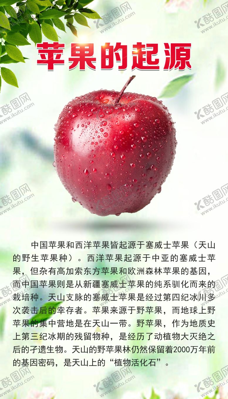 编号：94521609230935094065【酷图网】源文件下载-绿色简约苹果的起源展板