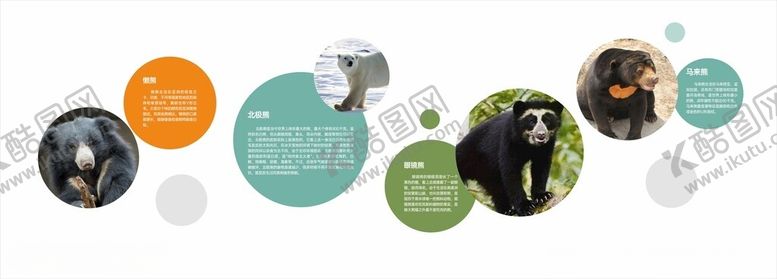 编号：62985502101046139691【酷图网】源文件下载-北极熊