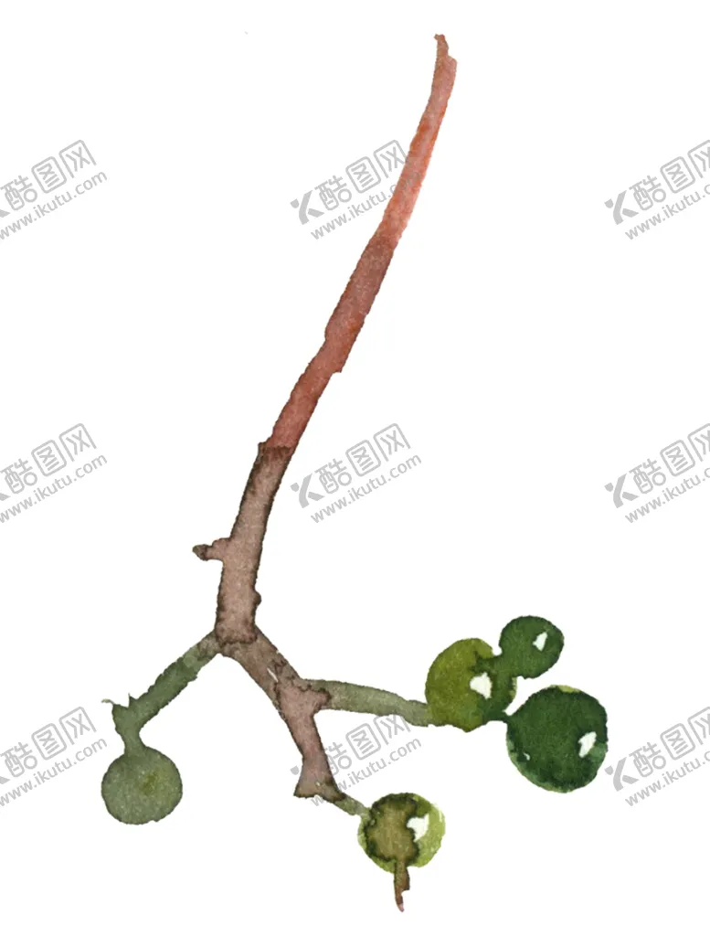 编号：97284706300517282366【酷图网】源文件下载-花卉树叶