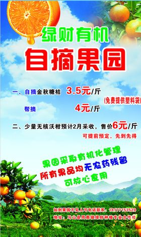 柑橘冰糖桔砂糖新鲜子海报