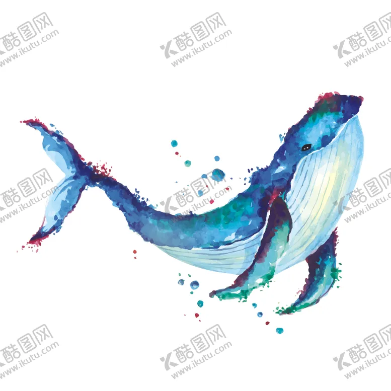 编号：98965502161715018516【酷图网】源文件下载-蓝鲸水彩绘画矢量插画素材
