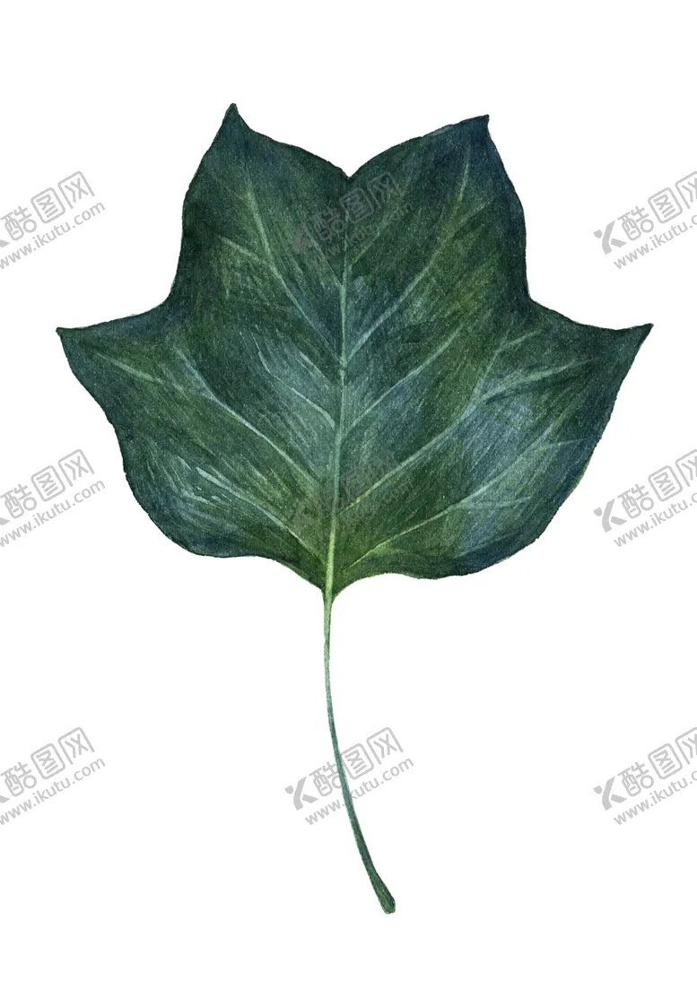 编号：66350907020233594553【酷图网】源文件下载-叶子