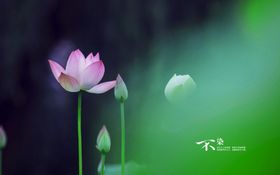 唯美走廊风景图片
