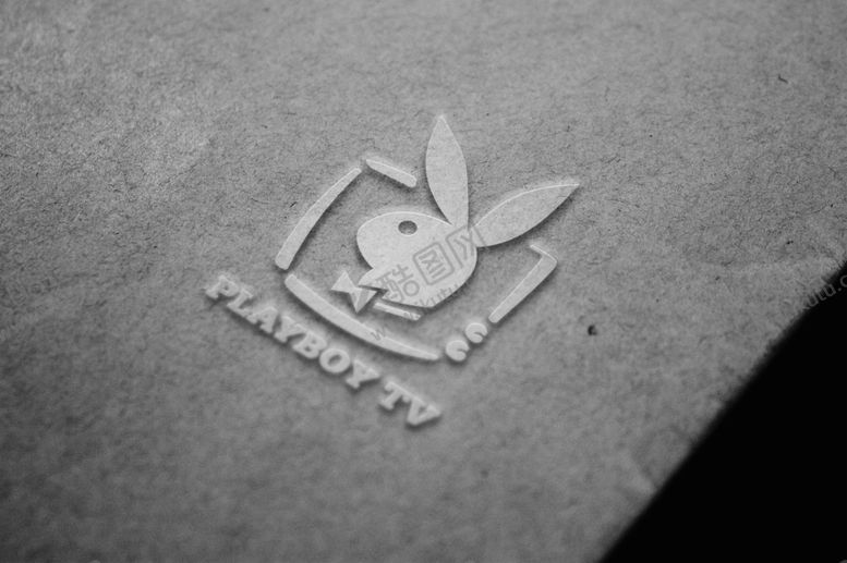 编号：49136409102005401367【酷图网】源文件下载-LOGO标志样机