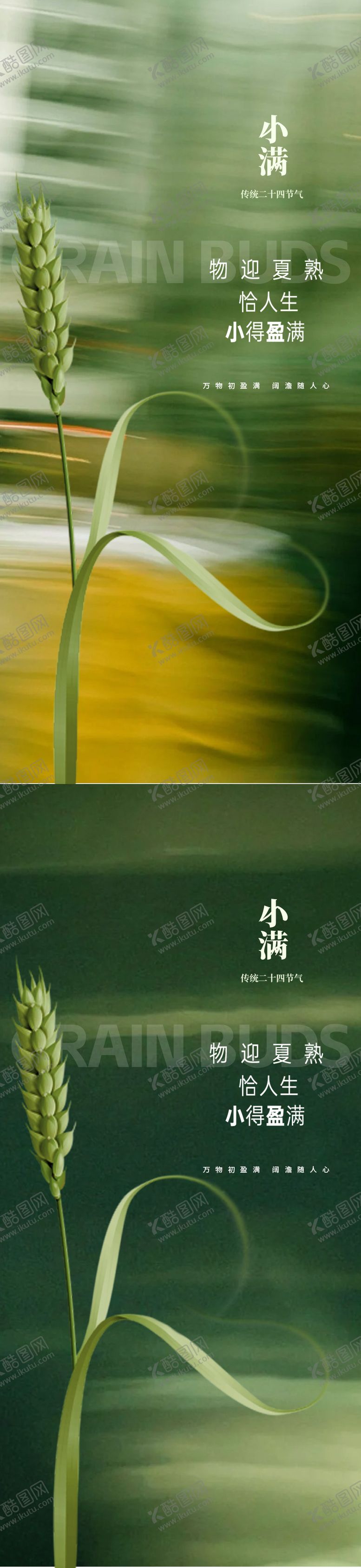 编号：10779805172309094293【酷图网】源文件下载-小满节气海报