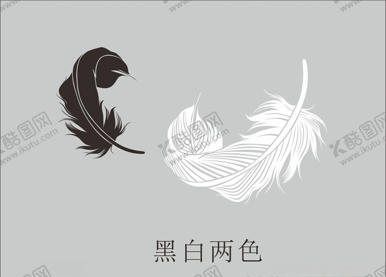 编号：78815210271947332183【酷图网】源文件下载-黑白两片大羽毛