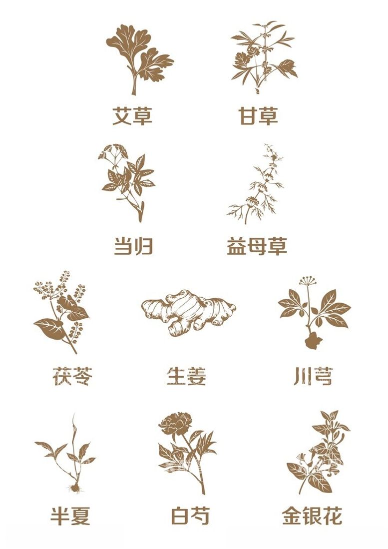 编号：60969712231633226224【酷图网】源文件下载-中草药植物